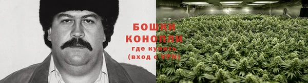 МДПВ Бугульма