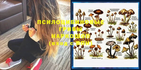 МДПВ Бугульма