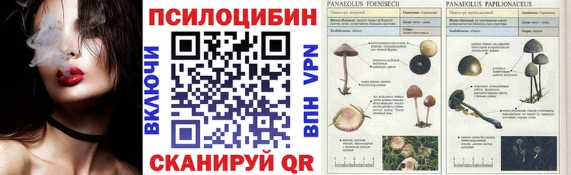 Галлюциногенные грибы GOLDEN TEACHER  Короча 